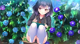 Cover Asagao wa Ai o Shiranai - thumb 1 | Download now!