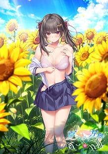 Cover Natsu e no Hakobune III | Download now!